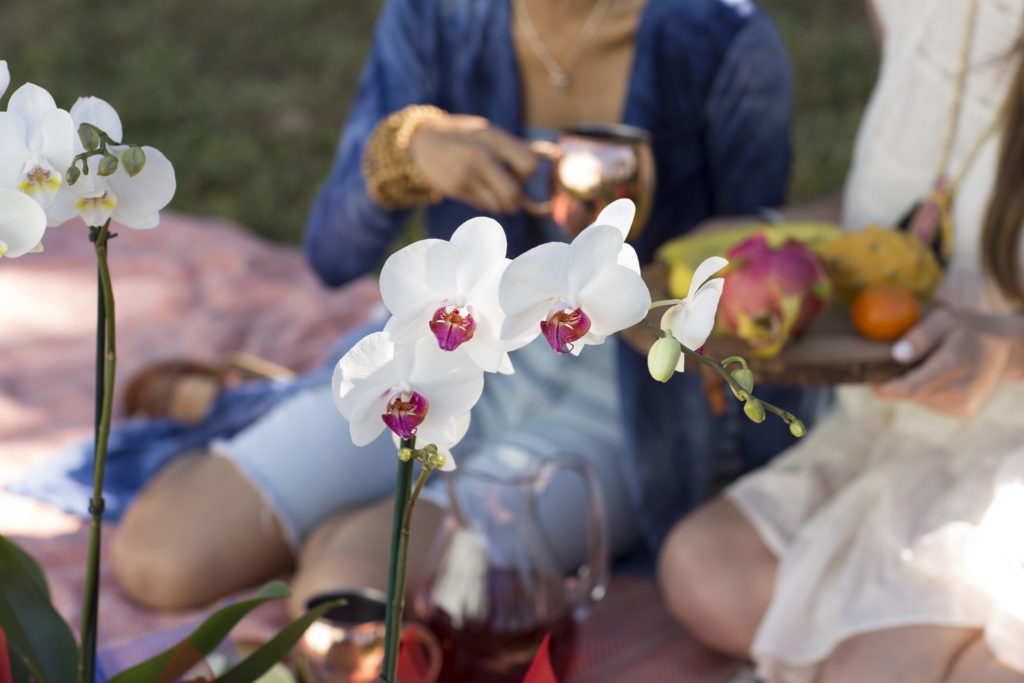 5” Phalaenopsis Orchids Silver Vase Orchids