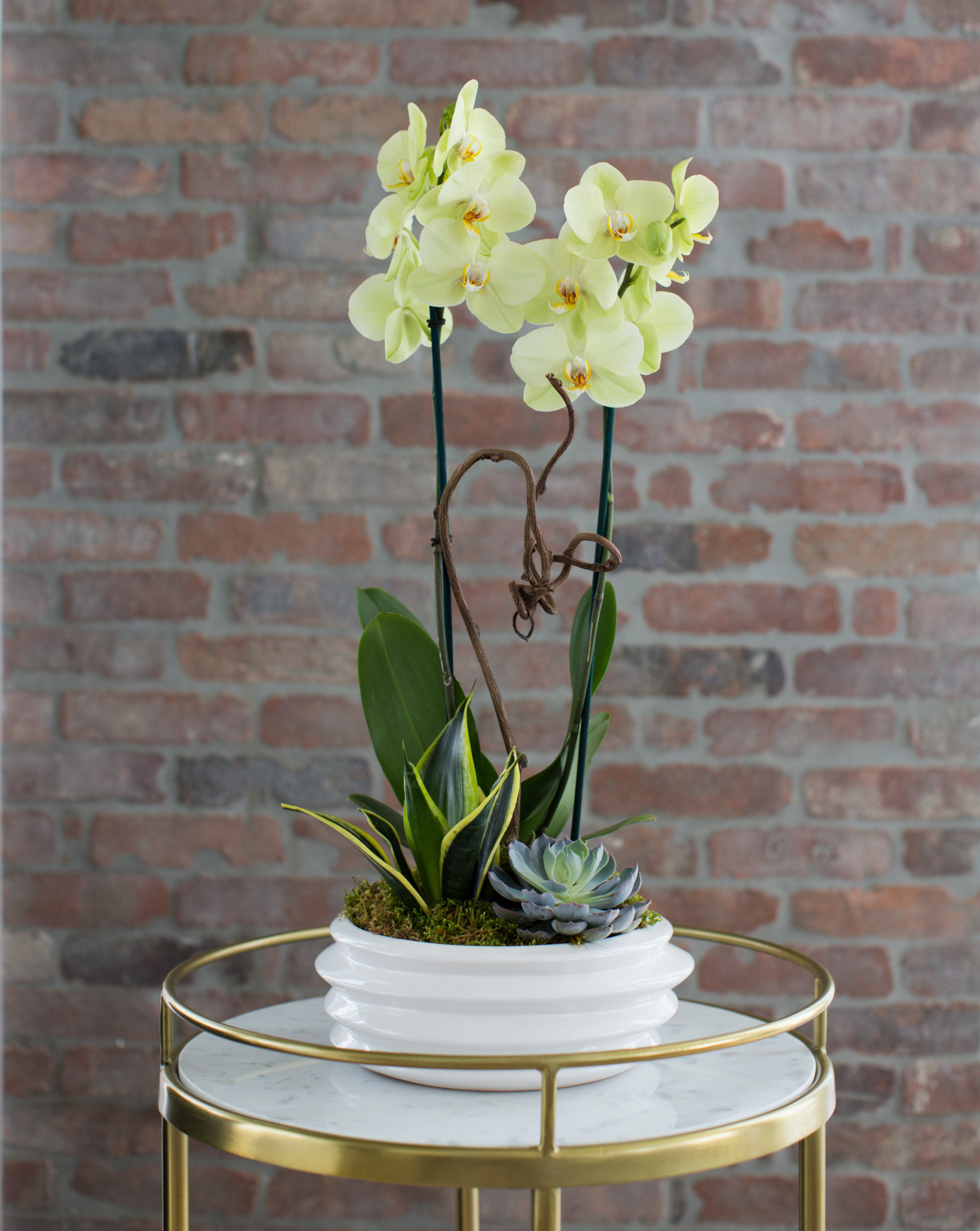 Garden Arrangements Silver Vase Orchids